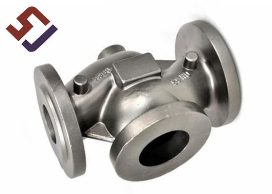 Check Valve Body Lost Wax Precision Casting Part Customized 0.05 - 0.9KG